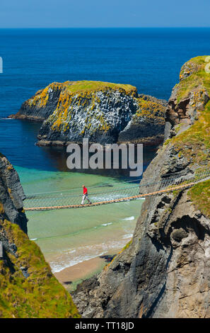 Carrick-a-Rede Rope Bridge. Larrybane Bay. Causeway Coastal Route. County Antrim, Nordirland, Europa Stockfoto