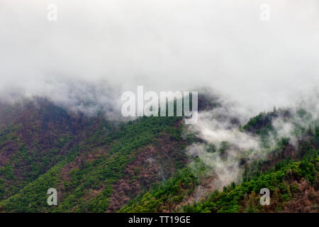 Berglandschaft von Nebel und Dunst über die Berge der Sierra Nevada in Butte County, Kalifornien nach einem Frühling regen Sturm. Stockfoto