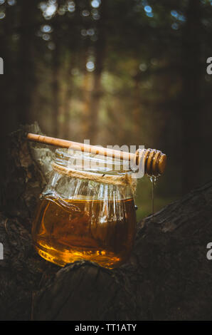 Glas mit frischem Honig Honig und Löffel auf Pine Tree in Wäldern. Gesundes essen. Stockfoto