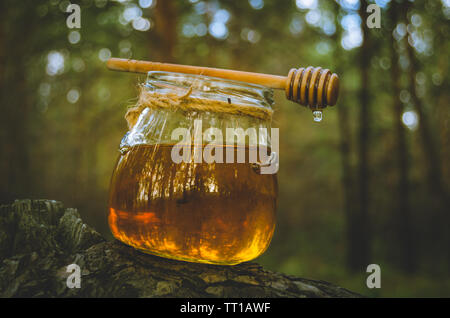 Glas mit frischem Honig Honig und Löffel auf Pine Tree in Wäldern. Gesundes essen. Stockfoto