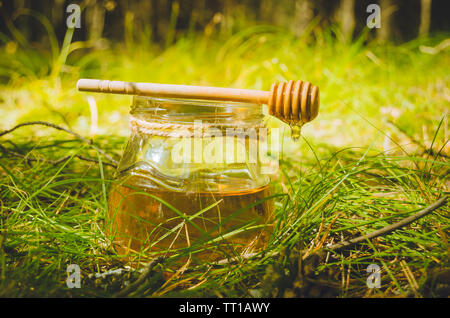 Löffel für Honig und Jar mit frischen Honig auf Sommer Green Glade. Gesundes essen. Stockfoto