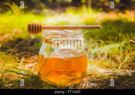 Löffel für Honig und Jar mit frischen Honig auf Sommer Green Glade. Gesundes essen. Stockfoto