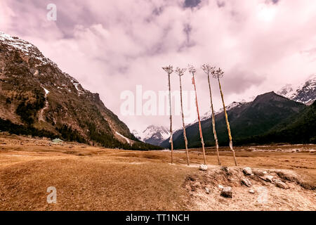 Panorama, Yungtham, Valley, Lachung, Fluss, bewaldete Hügel, schneebedeckte Berge, Nord Sikkim, Indien. Stockfoto