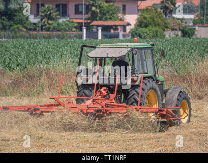 Traktor mit Dreschmaschine bei der Arbeit in die Felder bei der Ernte Stockfoto