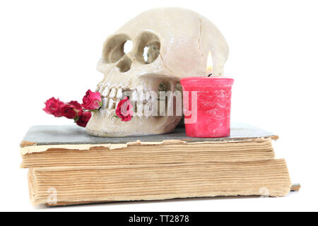 Schädel mit getrockneten Rosen auf altes Buch und Kerze isoliert auf weißem Stockfoto