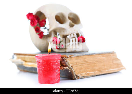 Schädel mit getrockneten Rosen auf altes Buch und Kerze isoliert auf weißem Stockfoto