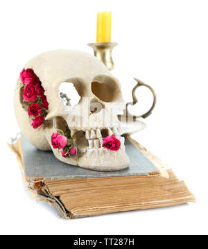 Schädel mit getrockneten Rosen auf altes Buch und Kerze isoliert auf weißem Stockfoto