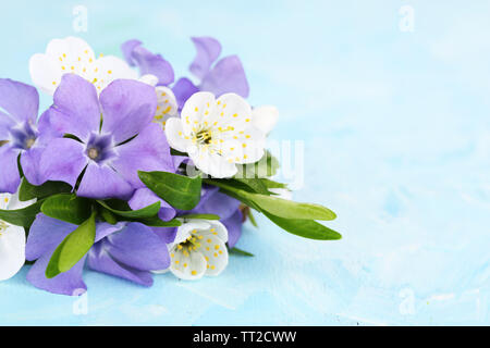 Schönen Blumenstrauß mit periwinkle Blumen auf blau Tabelle Stockfoto