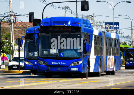 SANTIAGO, CHILE - Oktober 2014: zwei Gelenkbusse auf der Santa Rosa busway in Santiago. Stockfoto