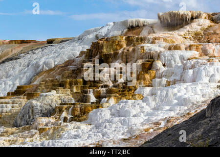 Farbpalette Frühling bei Mammoth Hot Springs im Yellowstone National Park. Stockfoto