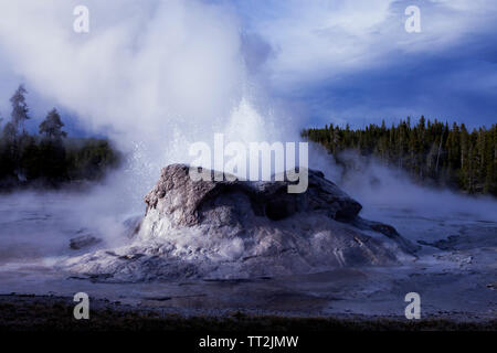 Dampf und Wasser aus Grotto Geysir im Upper Geyser Basin in der Nähe von treuen alten Dorf ausbrechen im Yellowstone National Park. Stockfoto