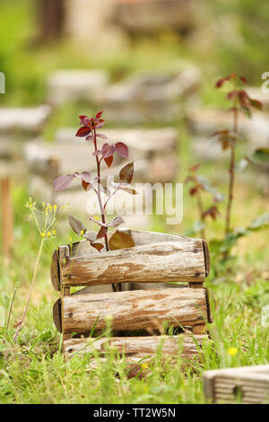 Alte hölzerne Kisten, im Freien Stockfoto