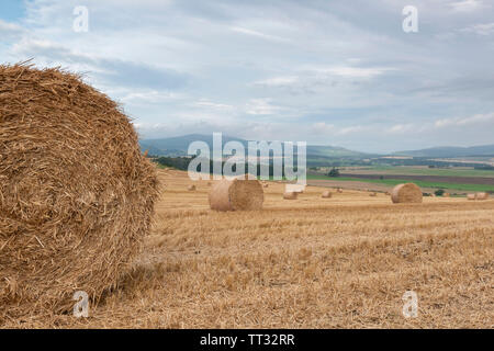 Einen Drei-Tage-Feld mit Strohballen an einem bewölkten Morgen in der Nähe von Aberdeenshire Landschaft Sauchen Stockfoto