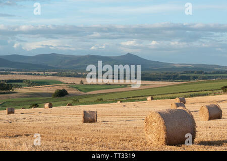 Ein herbstlicher Blick Richtung Bennachie in Aberdeenshire mit Strohballen im Vordergrund. Stockfoto