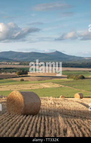 Ein herbstlicher Blick Richtung Bennachie in Aberdeenshire mit Strohballen im Vordergrund. Stockfoto