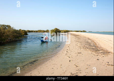 Kajak in den Mangrovenwald auf Sir Bani Yas, einer Insel im Persischen Golf, Vereinigte Arabische Emirate. Stockfoto