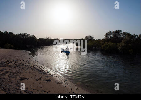 Kajak in den Mangrovenwald auf Sir Bani Yas, einer Insel im Persischen Golf, Vereinigte Arabische Emirate. Stockfoto