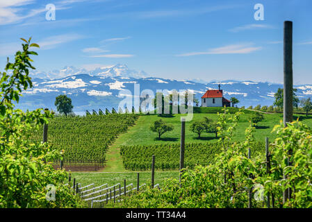 Schöne Aussicht mit idyllischen Antonius Kapelle und Säntis im Hintergrund Stockfoto