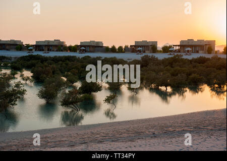 Die Villen im Anantara Al Yamm Villa Resort auf Sir Bani Yas, einer Insel im Persischen Golf, Vereinigte Arabische Emirate. Stockfoto