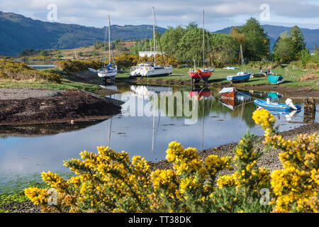 Lochcarron Dorf auf dem Loch Carron mit Booten in einer Bucht in der Nähe der Straße günstig mit Ginster im Vordergrund auf NC500 Stockfoto