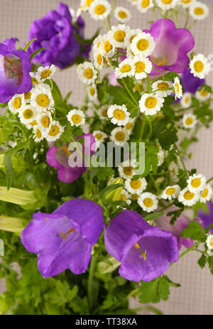 Schönen wilden Blumen close up Stockfoto