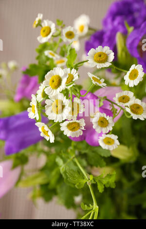 Schönen wilden Blumen close up Stockfoto