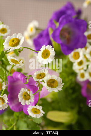 Schönen wilden Blumen close up Stockfoto