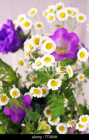 Schönen wilden Blumen close up Stockfoto