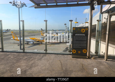 Singapur Changi International Airport, Singapur, Südostasien Stockfoto