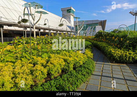 Die Sonnenblume Gärten in Singapur Changi International Airport, Singapur, Südostasien Stockfoto