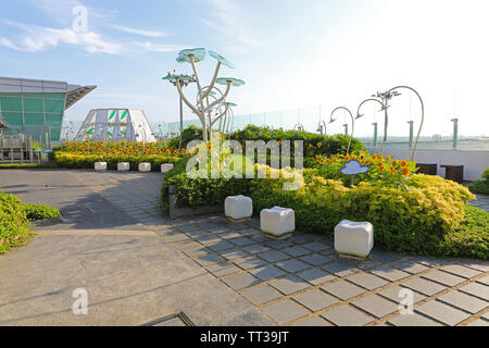 Die Sonnenblume Gärten in Singapur Changi International Airport, Singapur, Südostasien Stockfoto
