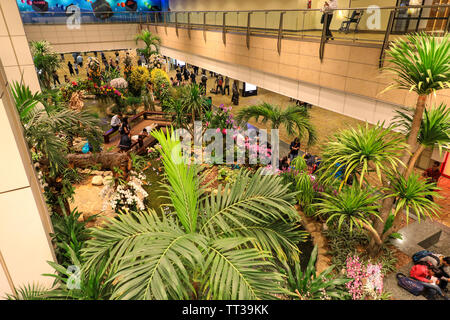 Die abflughalle Garten- und Landschaftsbau in Singapur Changi International Airport, Singapur, Südostasien Stockfoto