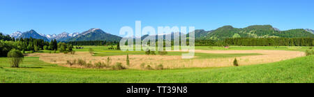 Frühling Natur im oberen Allgäu Berge in der Nähe von Oberstdorf. Stockfoto