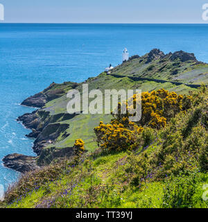 Küstenlandschaft am Startpunkt, Devon Stockfoto