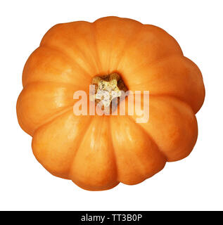 Orangefarbene runde Kürbis auf Weiß isoliert. Ansicht von oben. Stockfoto