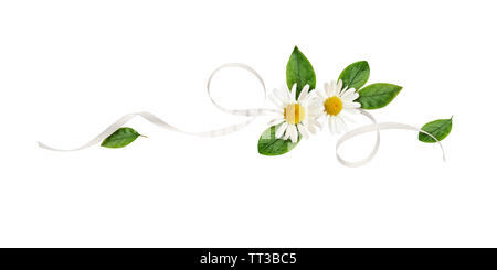 Daisy Blumen und seidenband in einer Linie Blumenschmuck isoliert auf weißem Stockfoto