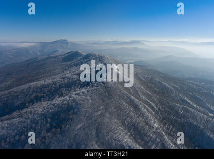 Antenne landschaft von winter Bergwald. Der Hang ist mit Bäumen bewachsen. Stockfoto