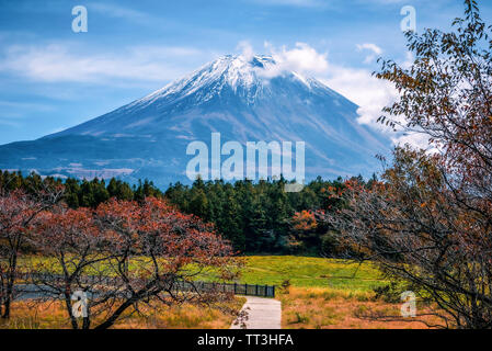 Mt. Fuji am blauen Himmel Hintergrund mit Herbstlaub tagsüber in Fujikawaguchiko, Japan. Stockfoto