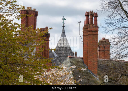 Schornsteine und Töpfe, Chester, Großbritannien Stockfoto