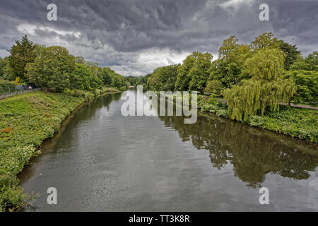 Fluss Taff in Bute Park, Cardiff, Wales, UK. Mittwoch 12. Juni 2019 Stockfoto