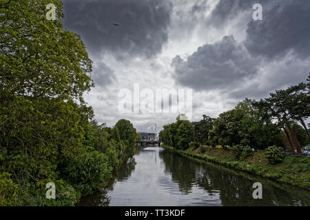 Fluss Taff in Bute Park, Cardiff, Wales, UK. Mittwoch 12. Juni 2019 Stockfoto