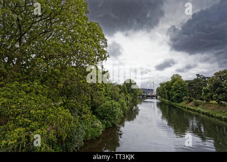 Fluss Taff in Bute Park, Cardiff, Wales, UK. Mittwoch 12. Juni 2019 Stockfoto