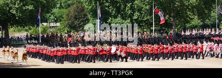 Die Farbe 2019, Horse Guards Parade, London, England Stockfoto