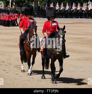 Die Farbe 2019, Horse Guards Parade, London, England Stockfoto