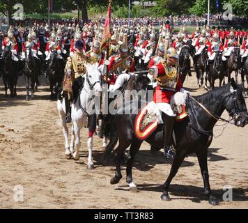 Die Farbe 2019, Horse Guards Parade, London, England Stockfoto