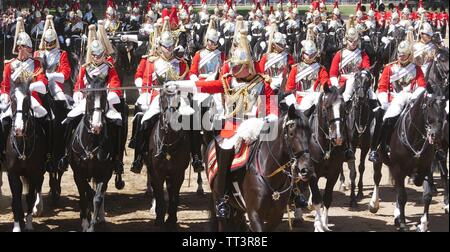 Die Farbe 2019, Horse Guards Parade, London, England Stockfoto