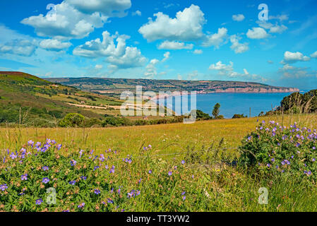 Robin Hood Bay gesehen von ravenscar in der North Yorkshire Moors National Park an einem Sommertag. Robin Hoods Bay ist ein Fischerdorf. Stockfoto