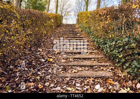 Treppen im Park von Laub im Herbst 1 fallen. Stockfoto