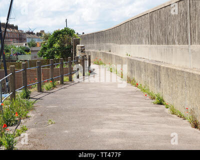 Sheerness, Kent, Großbritannien. 14 Juni, 2019. UK Wetter: sonnig und warm am Nachmittag in Sheerness, Kent. Klatschmohn in einer Gasse. Credit: James Bell/Alamy leben Nachrichten Stockfoto