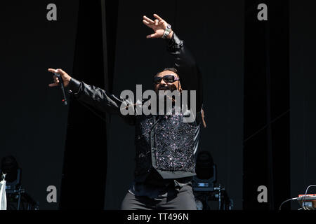 Florenz, 13. Juni, Skindred führt Live@Firenze Felsen, Ippodromo del Visarno, Firenze. Copyright Davide Merli | Alamy Stockfoto